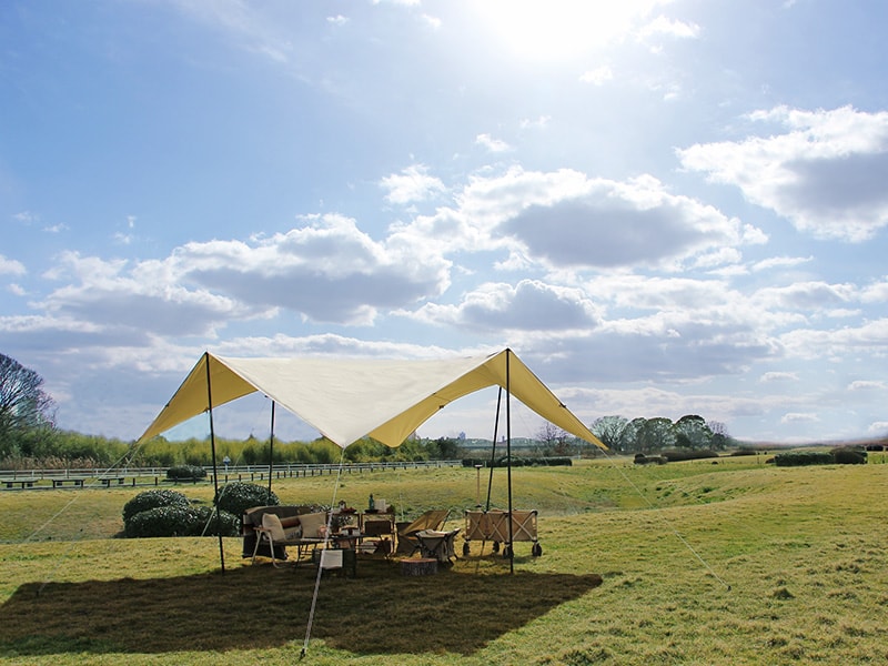 販売終了】チーズタープ（ブラック） TT10-492-BK - DOD（ディーオー