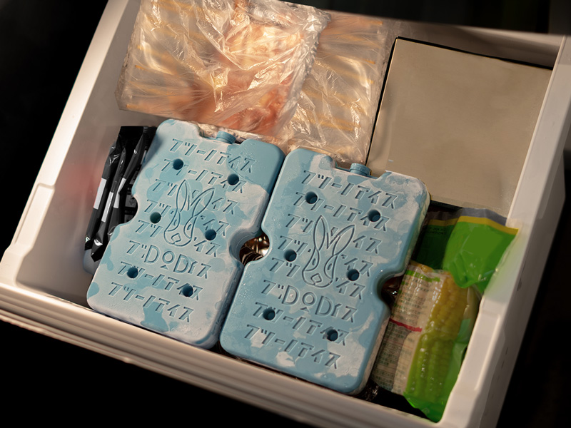 フツーノアイスM（2個セット） CL1-993-BG - DOD（ディーオーディー