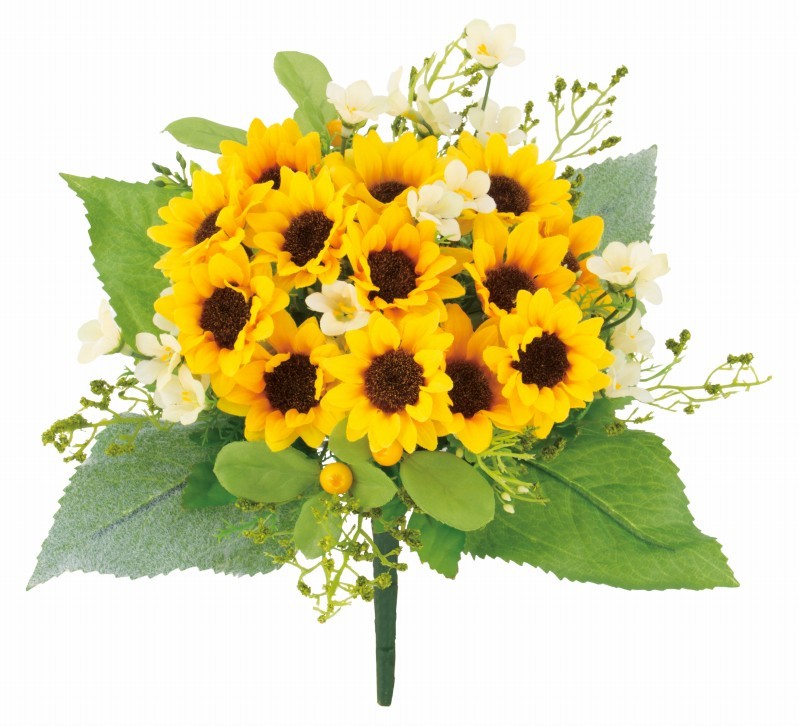 カテゴリ「ヒマワリ」商品一覧ページ | 株式会社ドガ
