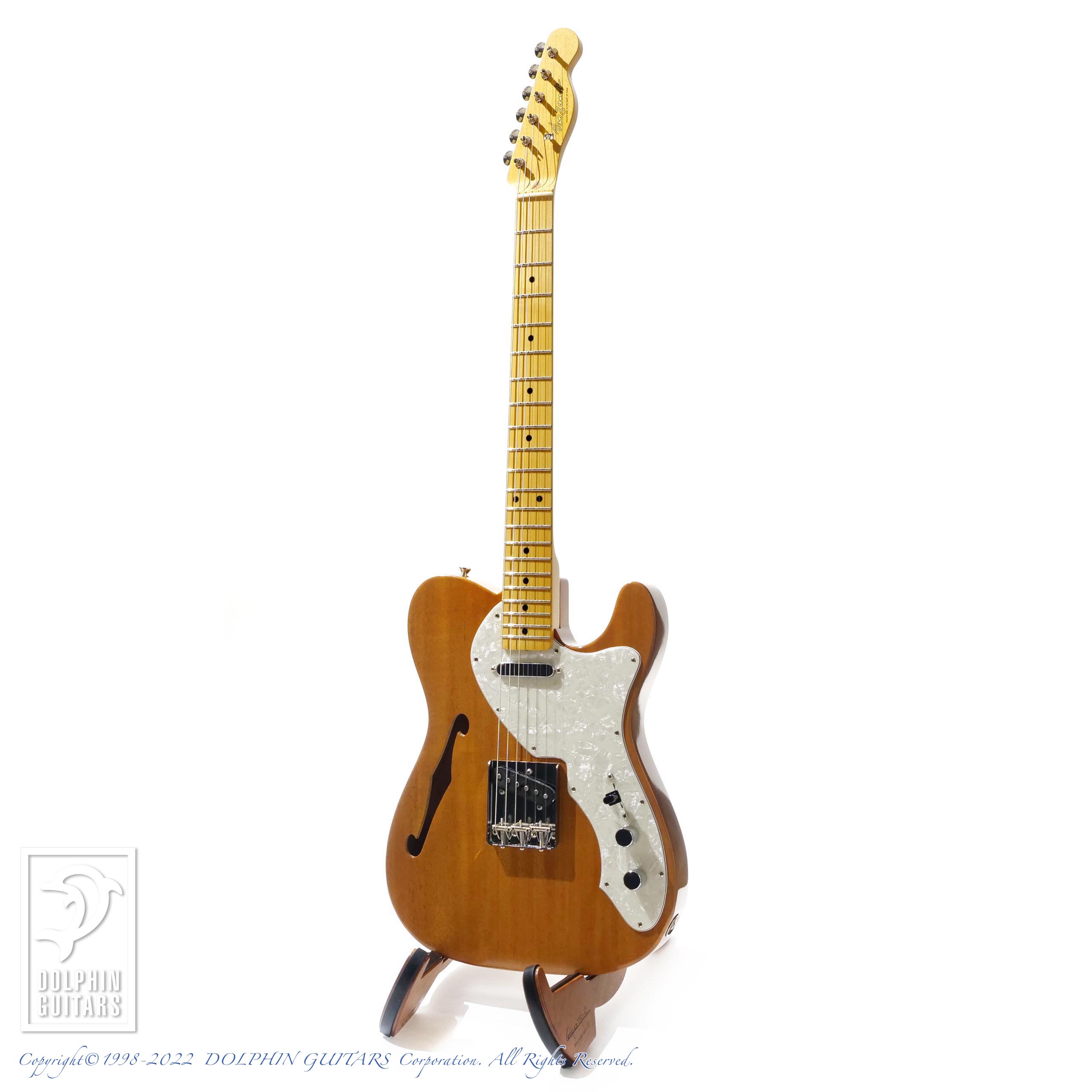 Van Zandt TLV-THINLINE / V.NAT|ドルフィンギターズ