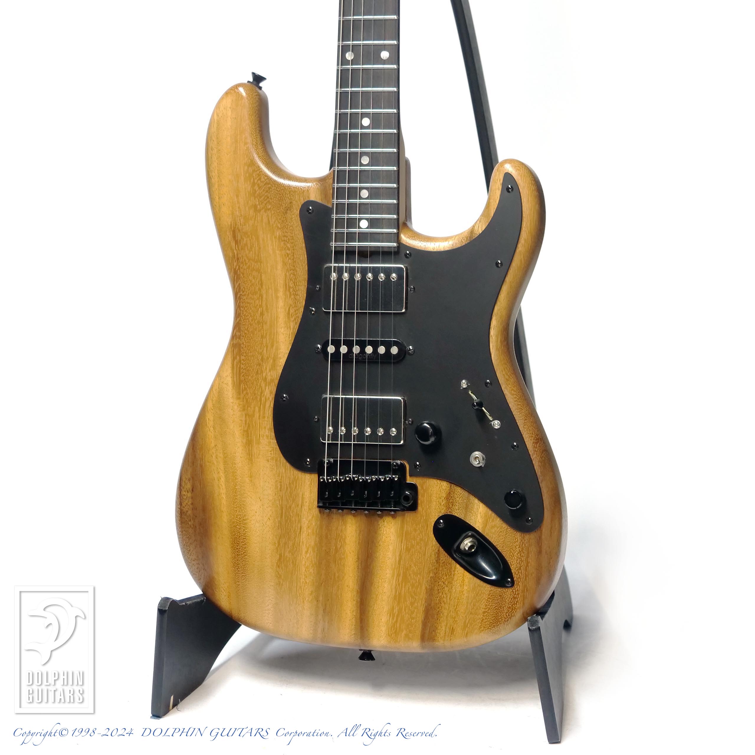 コンポーネントギター ストラトキャスター FISHMAN ゴトーペグ