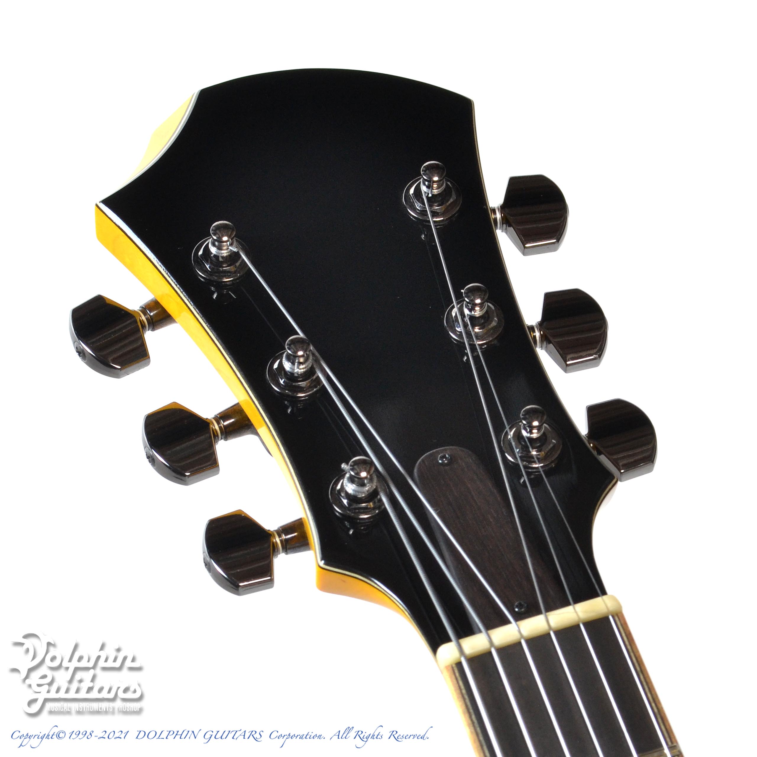 Westville Aruba|ドルフィンギターズ