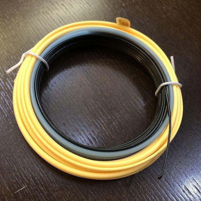 RIO】INTOUCH SKAGIT MAX GAMECHANGER F/H/I/S3