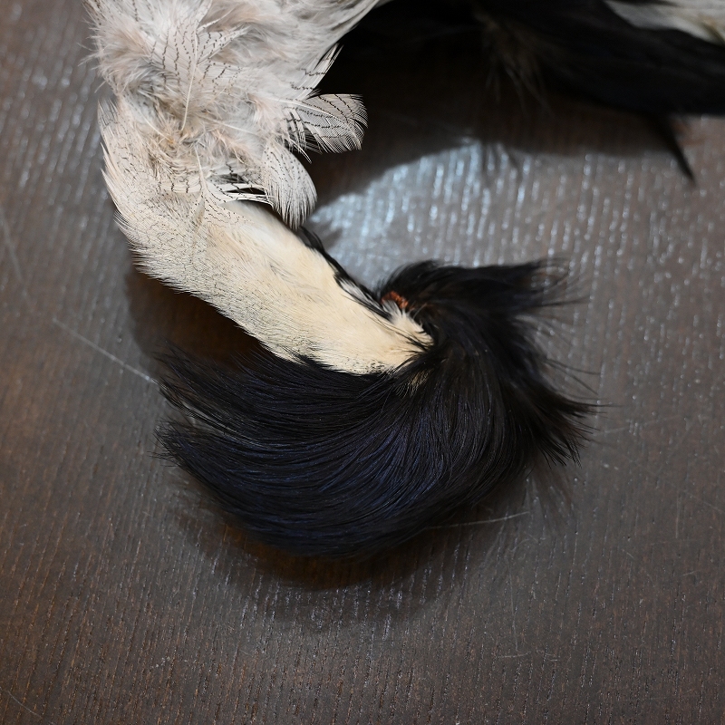 シルバーフェザント コンプリートスキン