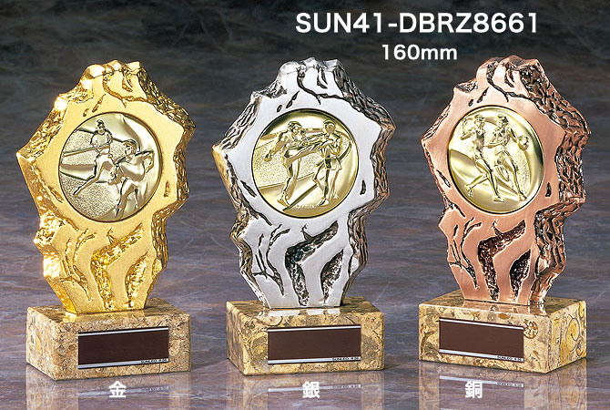 npcj(現FWJ) 3位入賞 トロフィー メダル 2019年当時物 npcj(現FWJ) 3