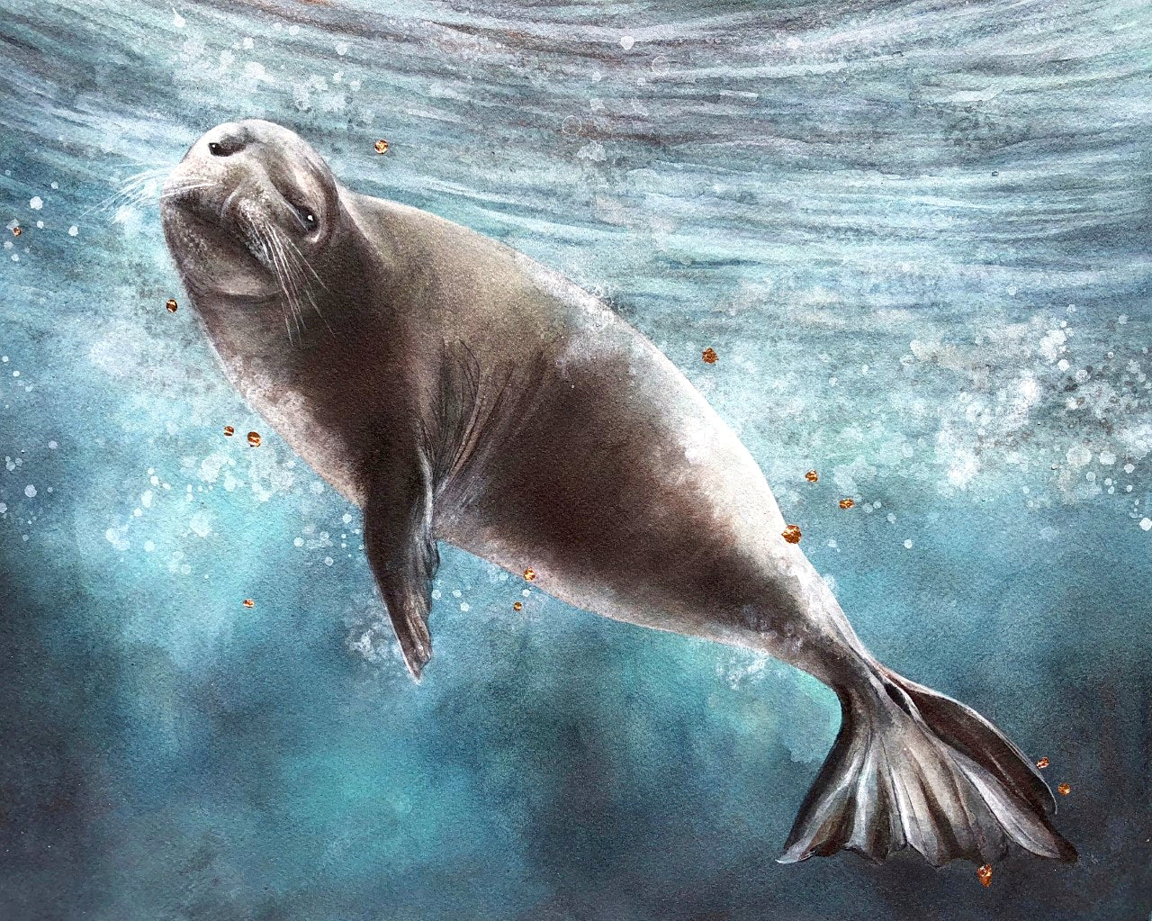 HAWAIIAN SEALS様 リクエスト プラナロム 5点 まとめ商品 HAWAIIAN