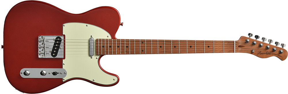 Bucchus BTE-1-RSM/M 美品 ソフトケース付属 Bucchus BTE-1-RSM/M 美品