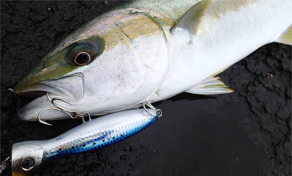 ハードコア® バレットブル（F） - 釣具の総合メーカー デュエル