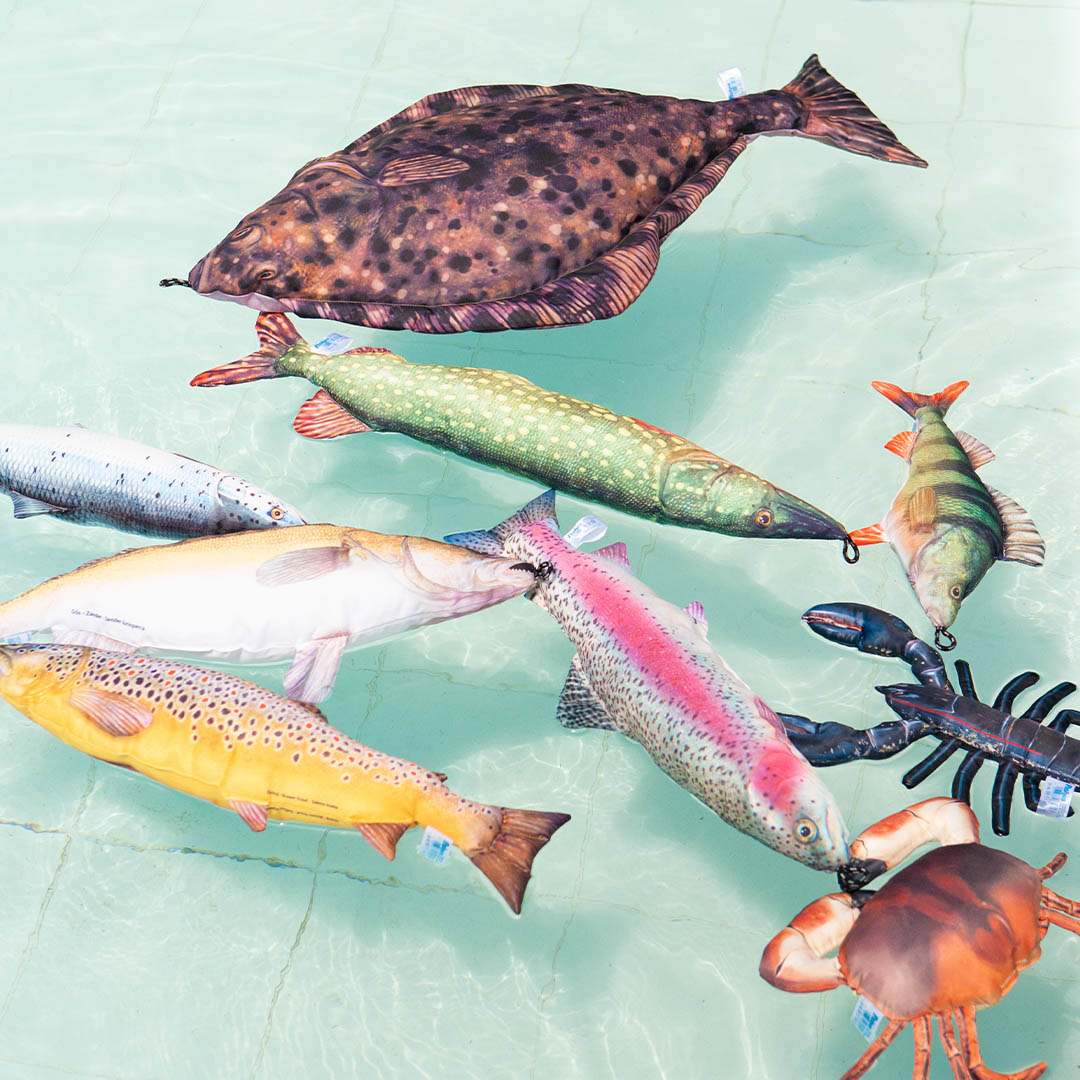 DULTON ONLINE SHOP | FISHES BROWN TROUT 70(BROWN TROUT