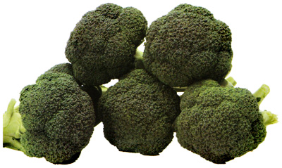 とくみのり (MKS-B91)[ブロッコリー] - e-種や｜国内最大級の野菜種