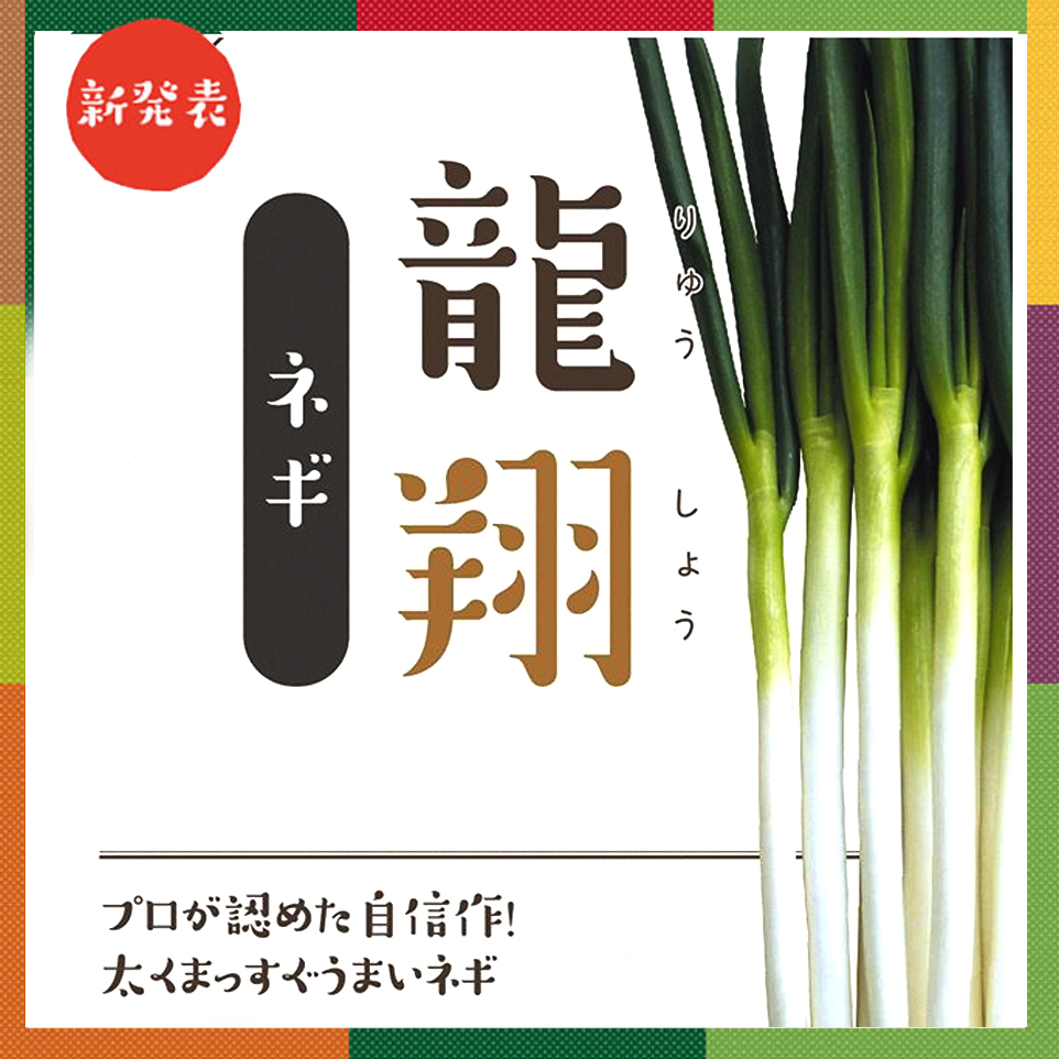 龍翔ネギ[ネギ]ベイファームシリーズ - e-種や｜国内最大級の野菜種