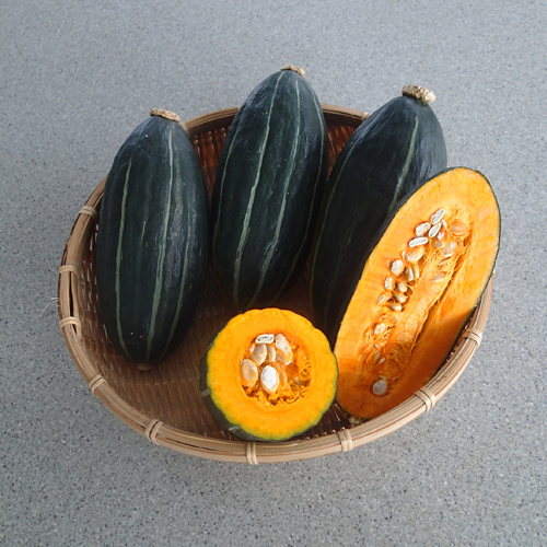 クリング[南瓜] - e-種や｜国内最大級の野菜種・花種・苗・農業資材の
