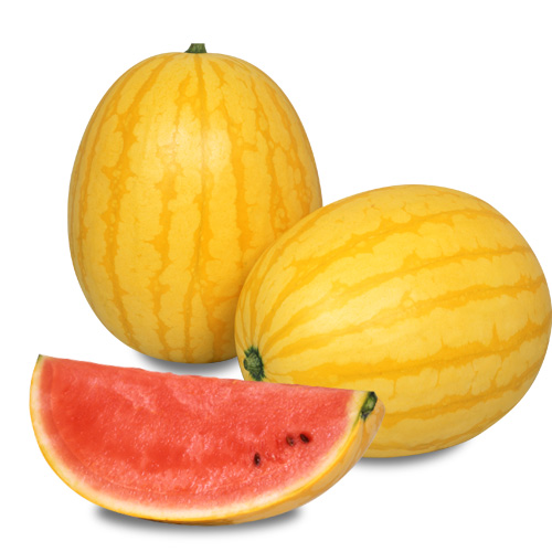 黄衛門 (MWX-958)[西瓜] - e-種や｜国内最大級の野菜種・花種・苗