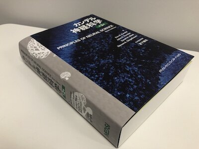 2022年｜NEWS（中澤 直高先生 共訳（カンデル神経科学 第2版））｜近畿