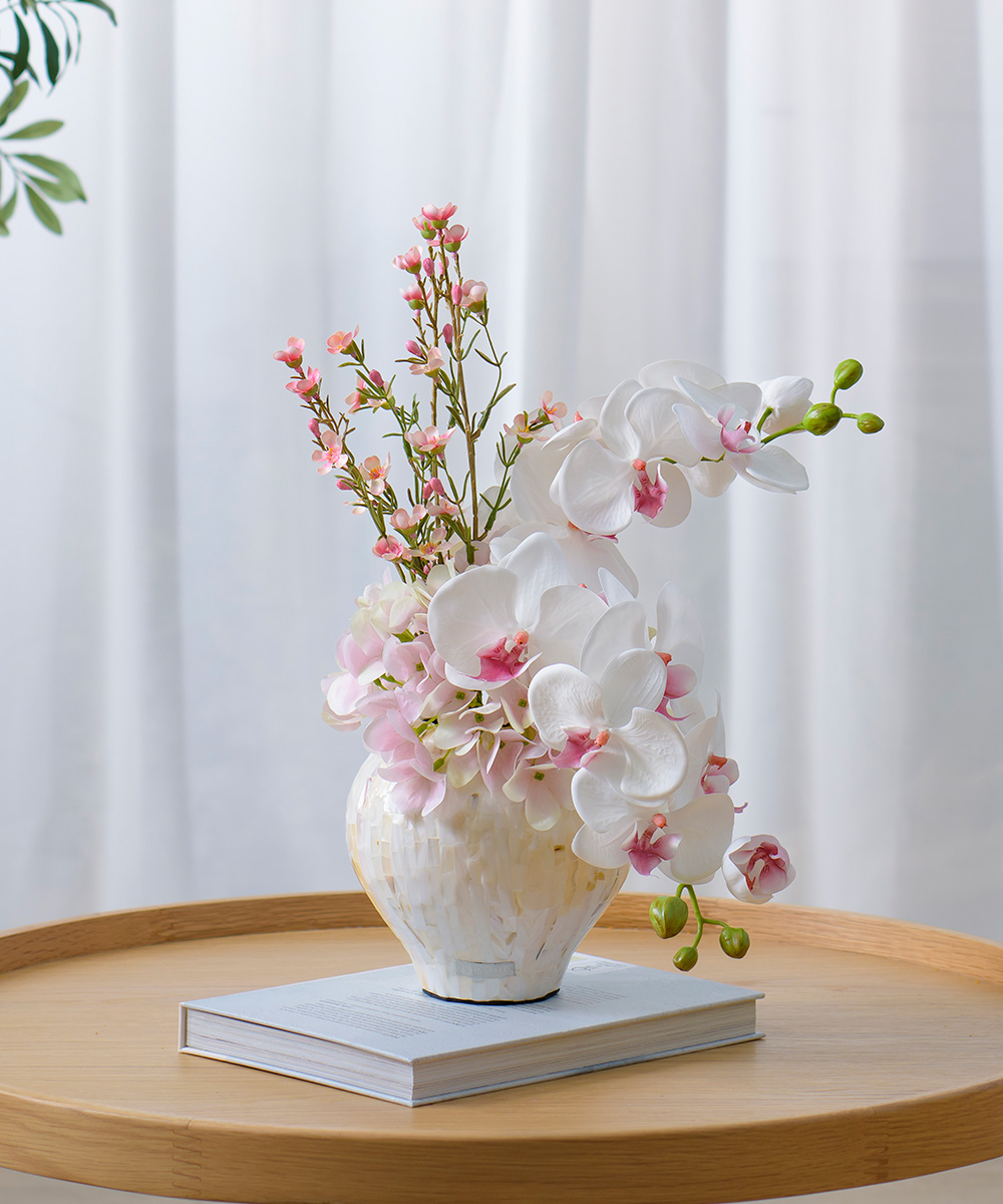 新定番の贈り花「胡蝶蘭 特集」|エミリオ・ロバ公式オンラインストア