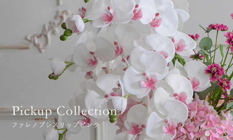 胡蝶蘭(ファレノプシス)のアートフラワー特集|エミリオ・ロバ公式