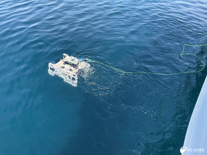 初めての水中ドローン調査！ | えのすいトリーター日誌 | 新江ノ島水族館
