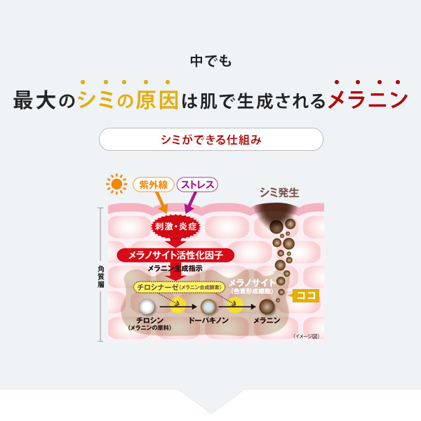 エビス ビーホワイト|美顔器・原液美容液のエビス化粧品