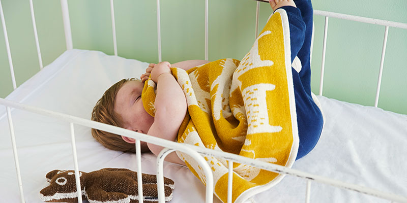 ミニブランケット | サステナブルショップ エコンフォートハウス