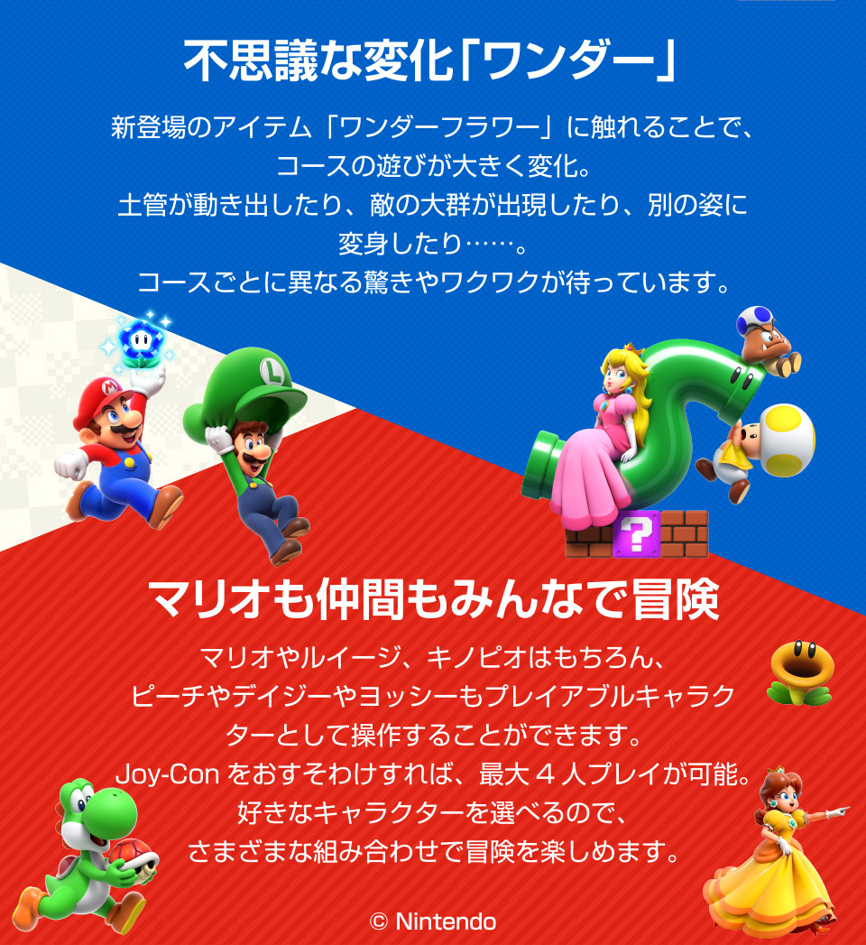 任天堂 HACPAQMXA スーパーマリオブラザーズ ワンダー【Switch