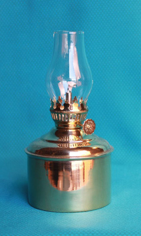 希少】ホヤに「保険」印字 吊りランプ レトロ 希少】ホヤに「保険