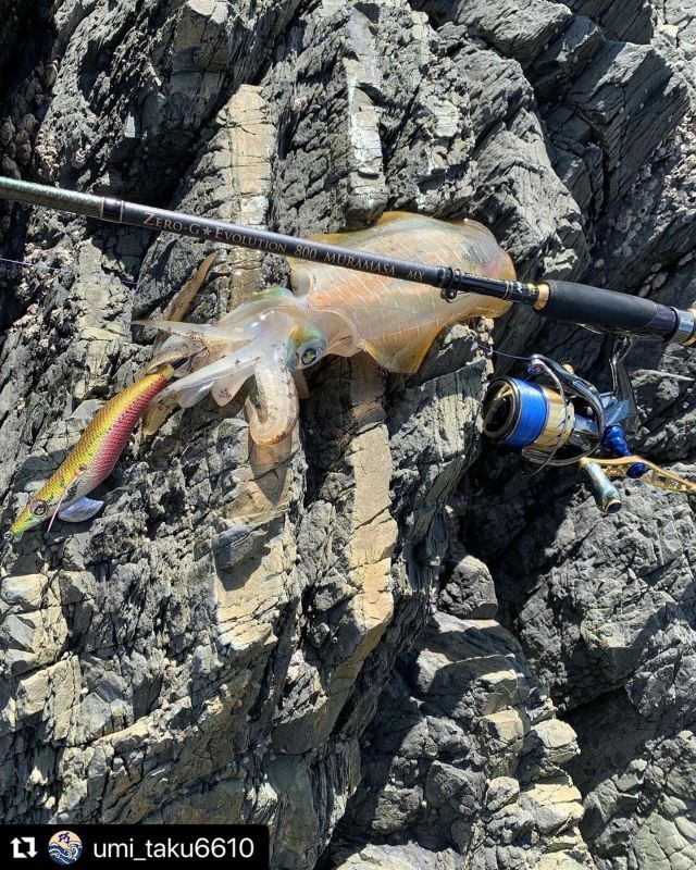 X8-PE 0.4-240m 『Sea Blue』エギマニ限定COLOR - EGI MANIACS