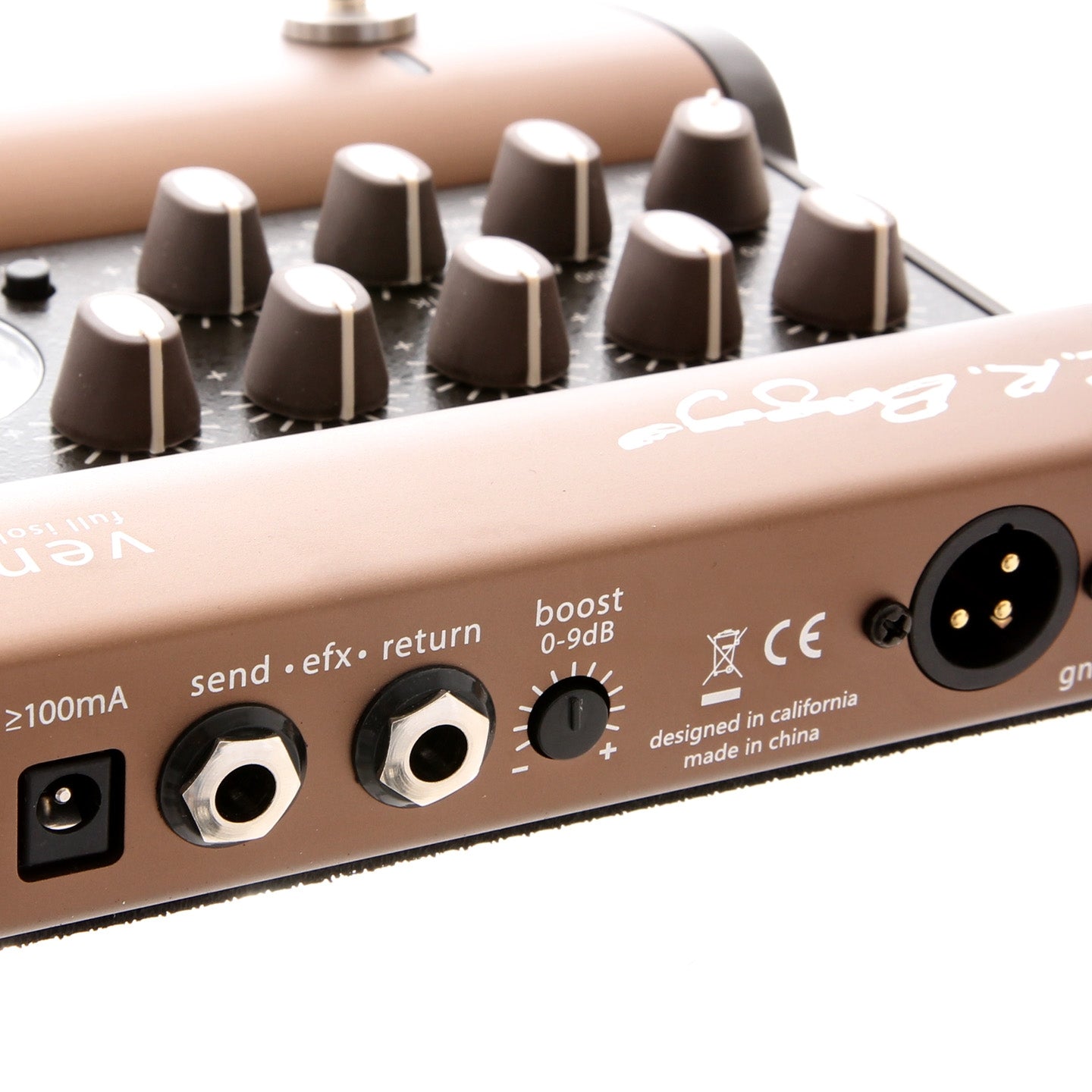 L.R. Baggs Venue DI – Elderly Instruments