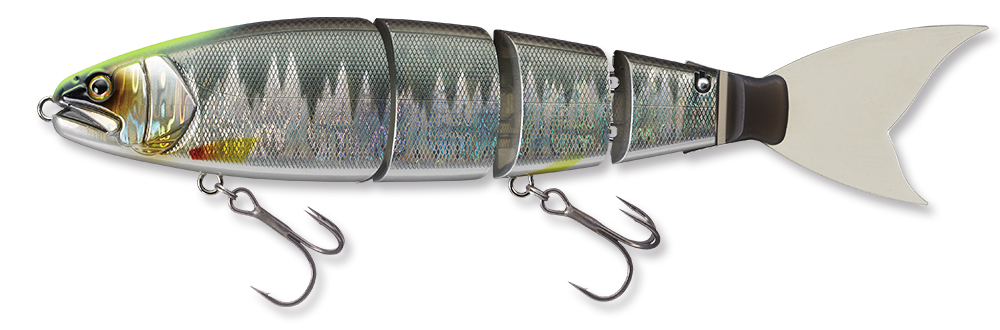 EVERGREEN（エバーグリーン インターナショナル） - バラム245・エバー