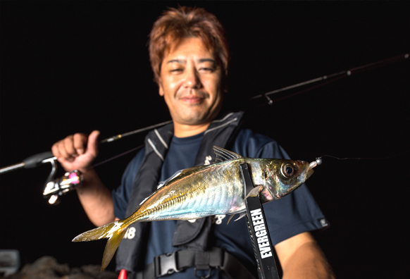 EVERGREEN（エバーグリーン インターナショナル） - ドットテール