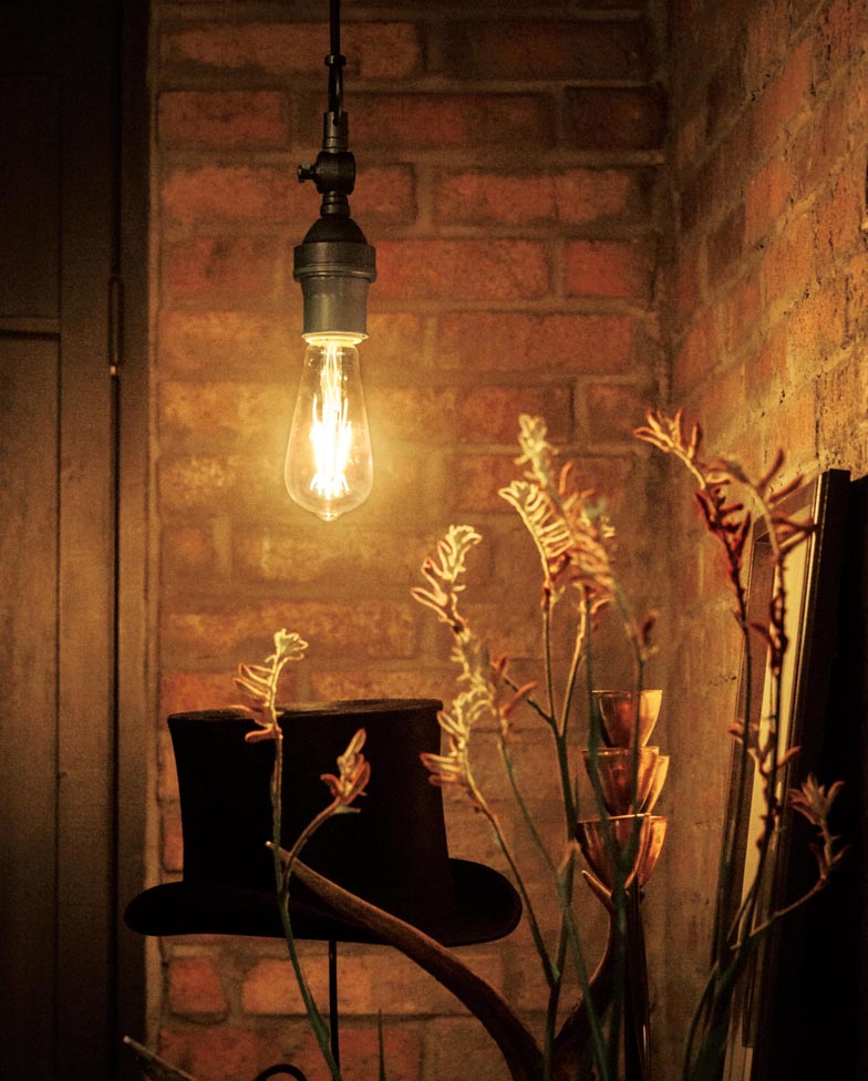 OP252613LC オーデリック製ペンダントライト | ペンダントライト