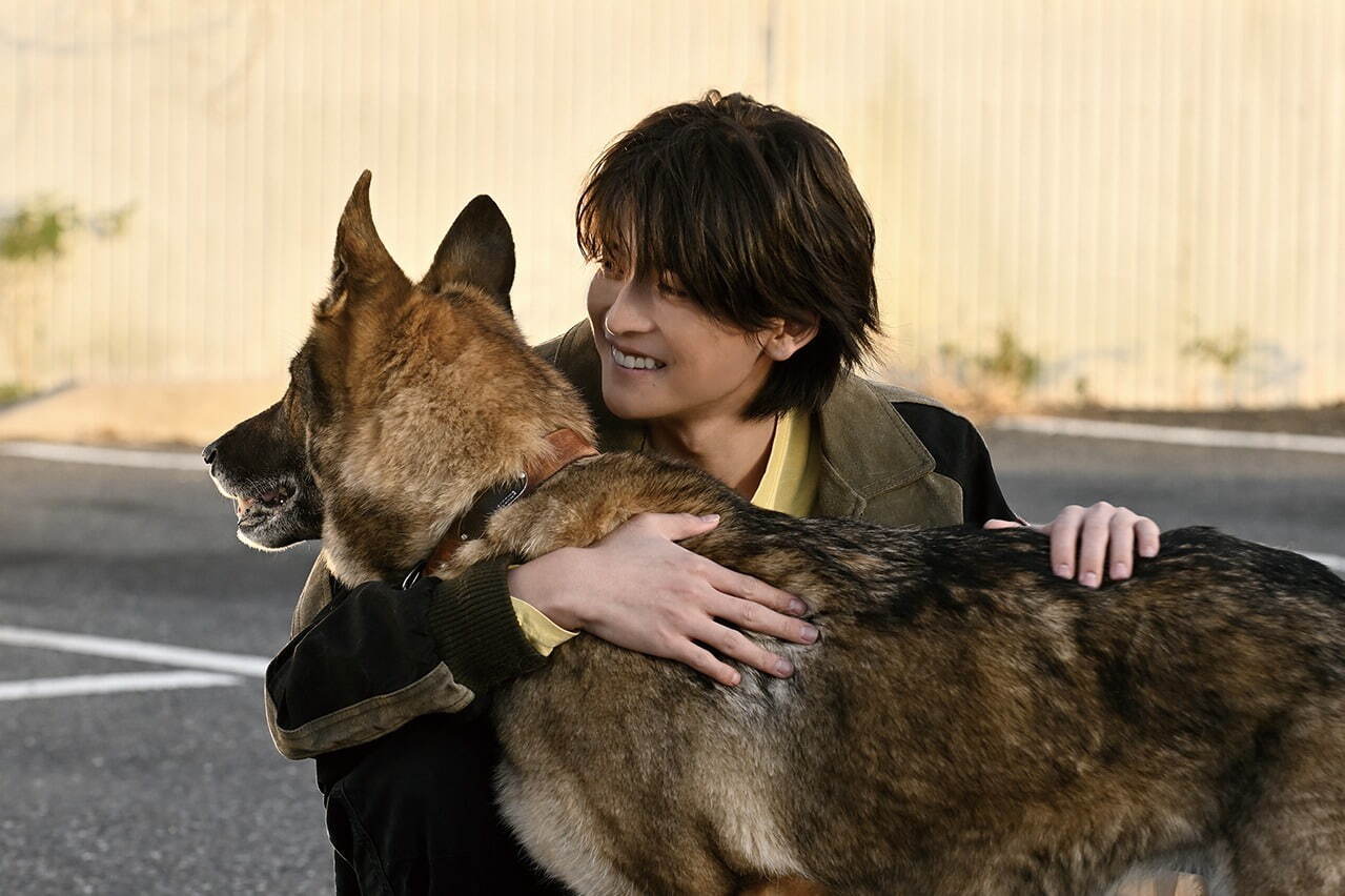 少年と犬』高橋文哉＆西野七瀬で直木賞受賞作を映画化、震災で“飼い主