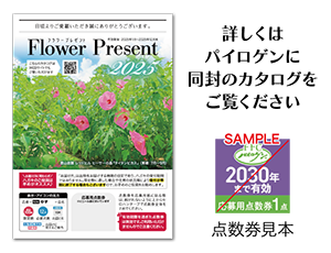 filanso│FFCパイロゲン誕生40周年記念企画