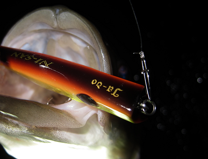 2016年 限定カラー 悟空モデル レッド ルアー 魚釣り シーバスルアーの