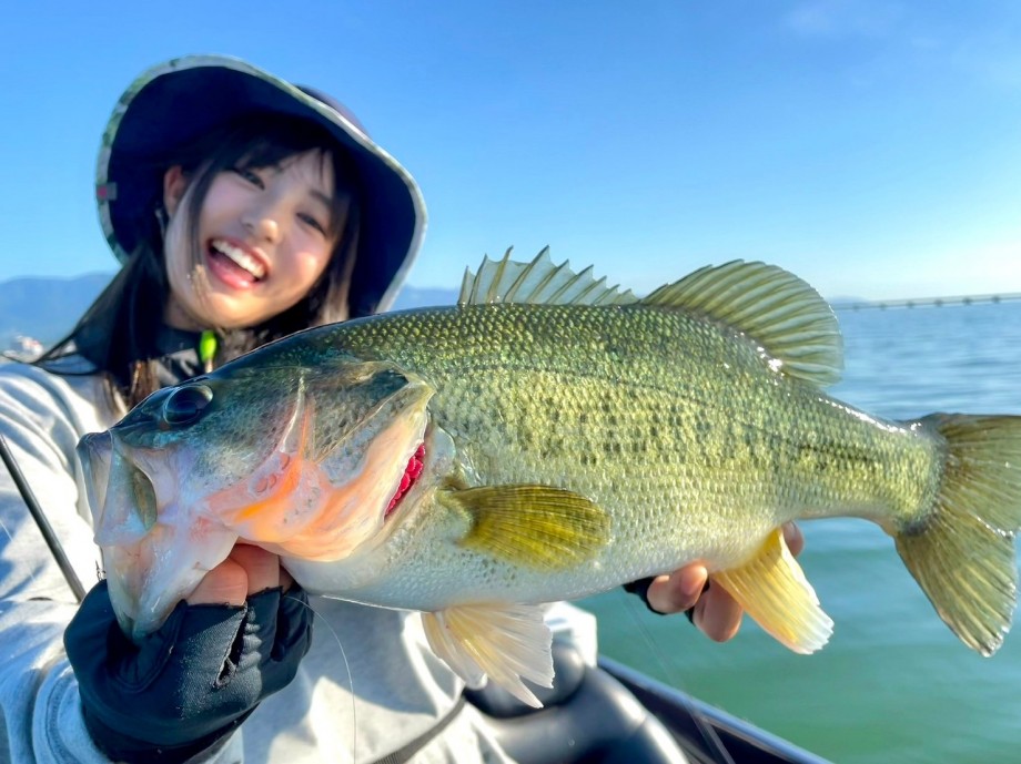 BlueBlue】 【お知らせ】BlueBlueアンバサダー契約情報