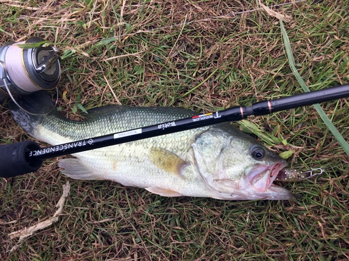 TRANSIENCE Botia 62S/72S パックロッド TRANSIENCE Botia 62S/72S