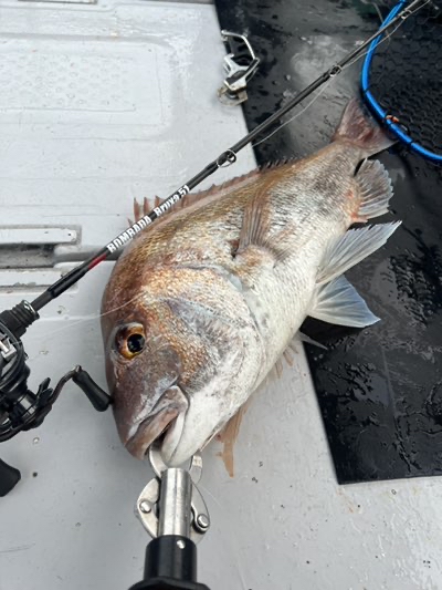 冒険の書】 ブルーシャ51インプレ