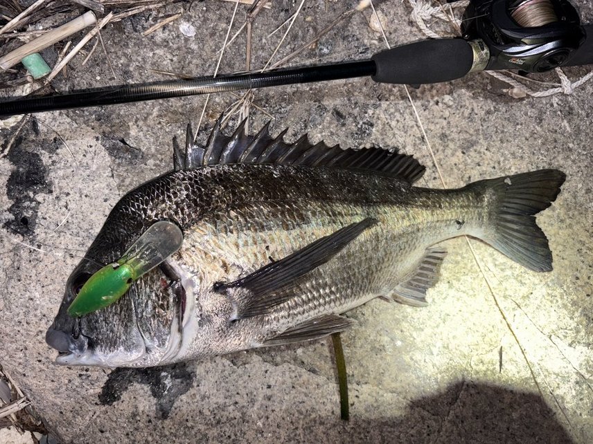 ルアー追想記】 UFMウエダ：PRO4スピリッツ・ピッチングスティック