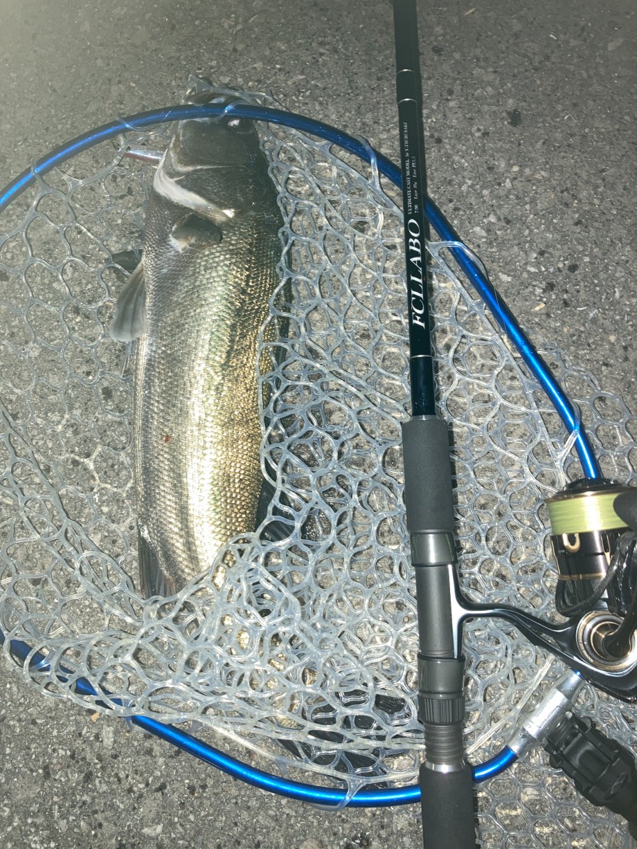 ご近所釣りログ】 UC79ft（2021モデル）ファーストインプレッション