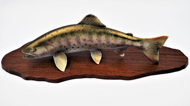 魚剥製 製作・販売】魚類剥製 フィッシュクラフト マツモト