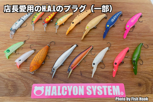 限定】ハルシオンシステム 月虫 66MD 浮 ＆ AREA DENS 50US 2024限定