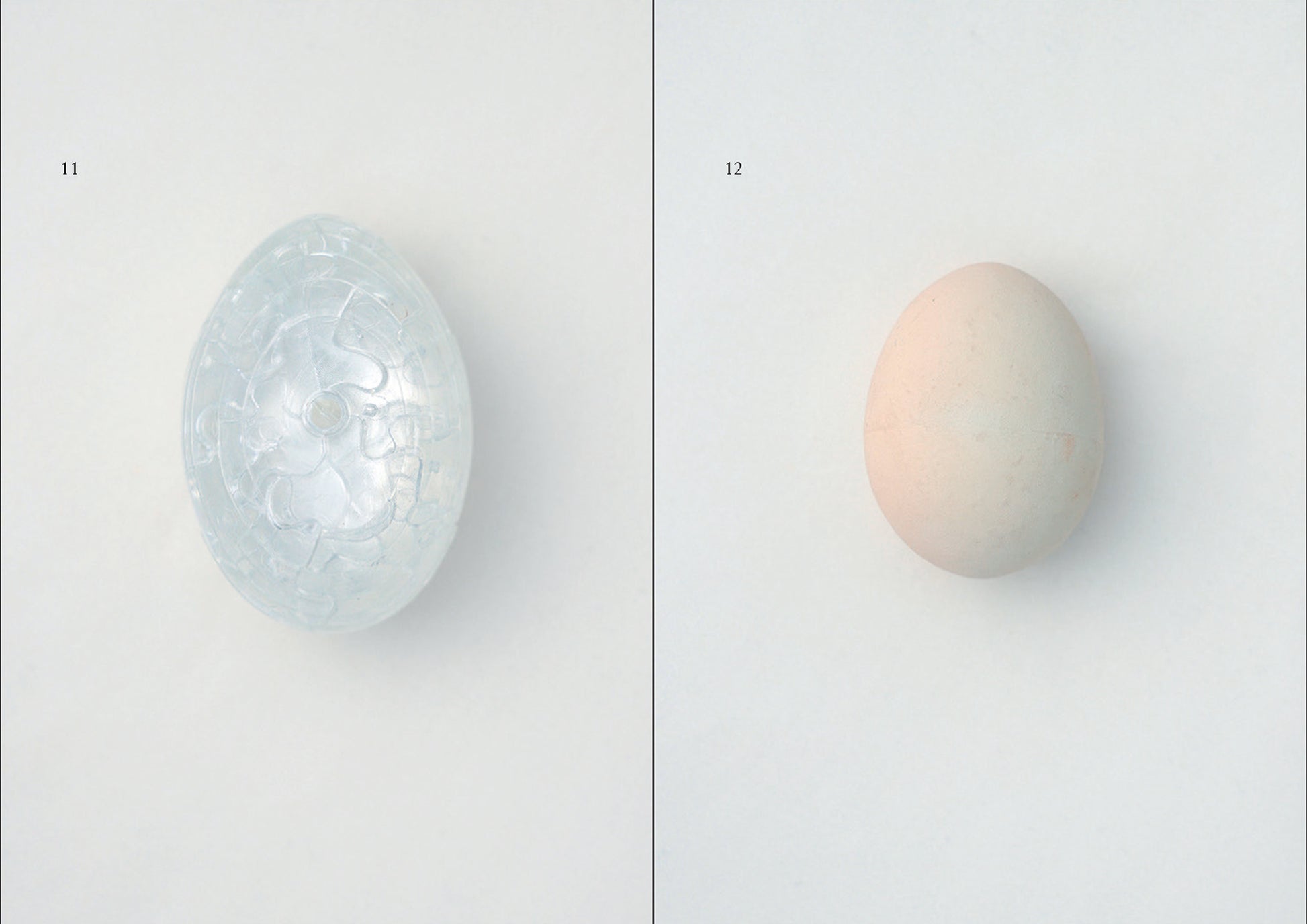 egg [special edition] / 澄敬一 – FRAGILE BOOKS