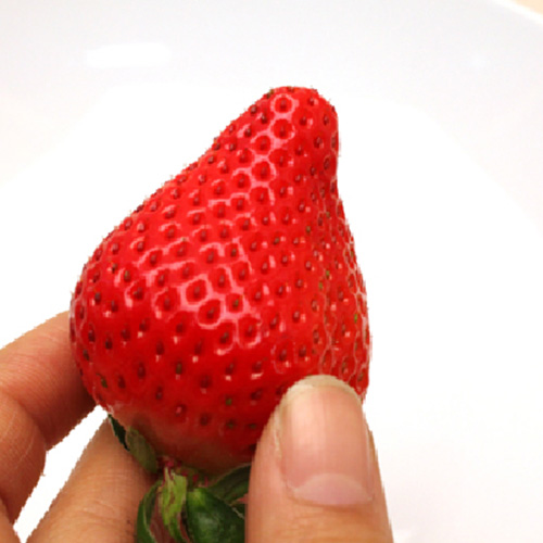 さくらももいちご 徳島県佐那河内村産 | G-Callショッピング