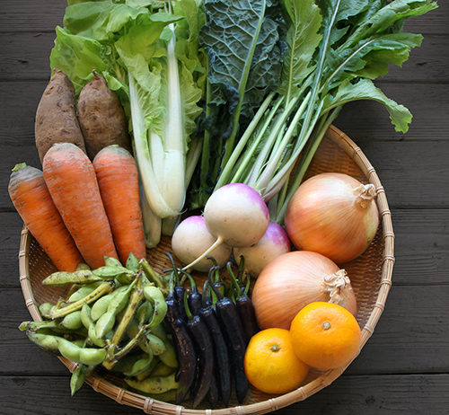 ちと】ノンタン 野菜セット きんぎょがにげた 他 15冊セット ちと