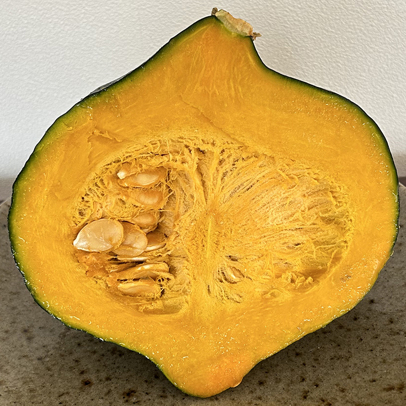 食べる力 北海道中富良野産 かぼちゃ 九重栗 野菜 | G-Callショッピング