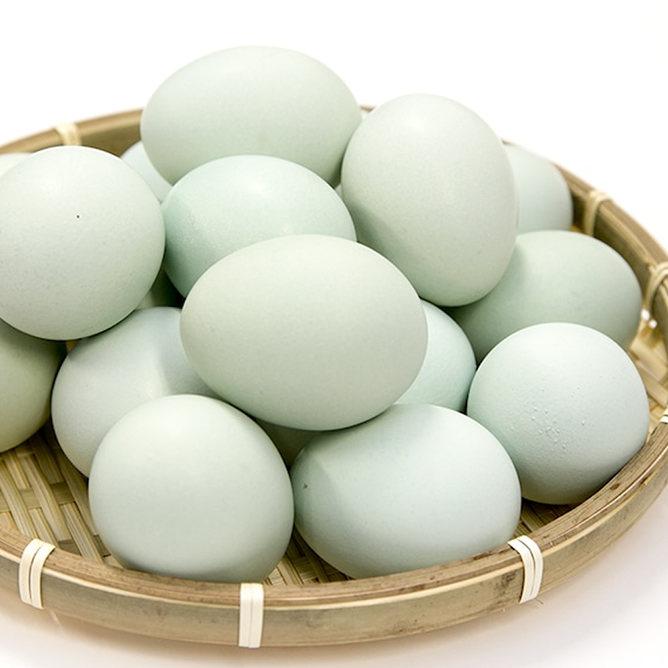 緑の一番星 田子たまご村 青森県田子町産 | G-Callショッピング