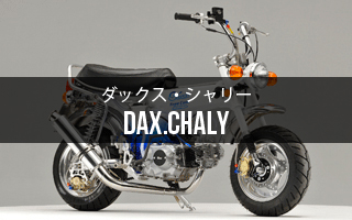 ダックス、シャリーS/A | Gクラフトオンライン Gcraft