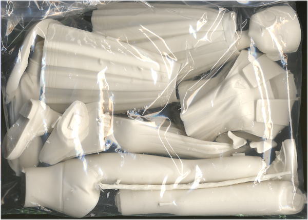 来栖川芹香 (ガレージキット) - ホビーサーチ フィギュア