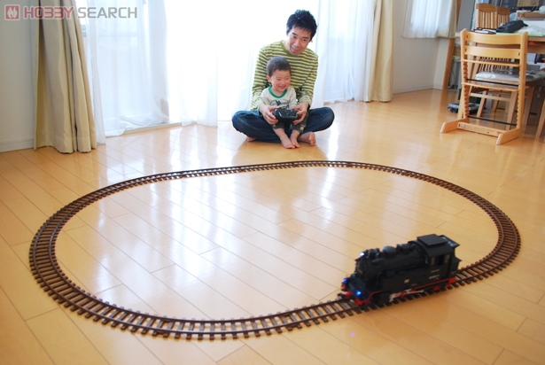 Gゲージ 欧州蒸気機関車 (HSB 99 6001) (ビッグスケールラジコン