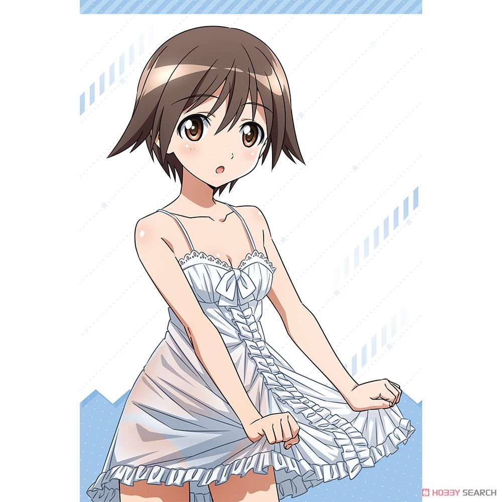 ストライクウィッチーズ 描き下ろしカーテン（宮藤芳佳＆リネット