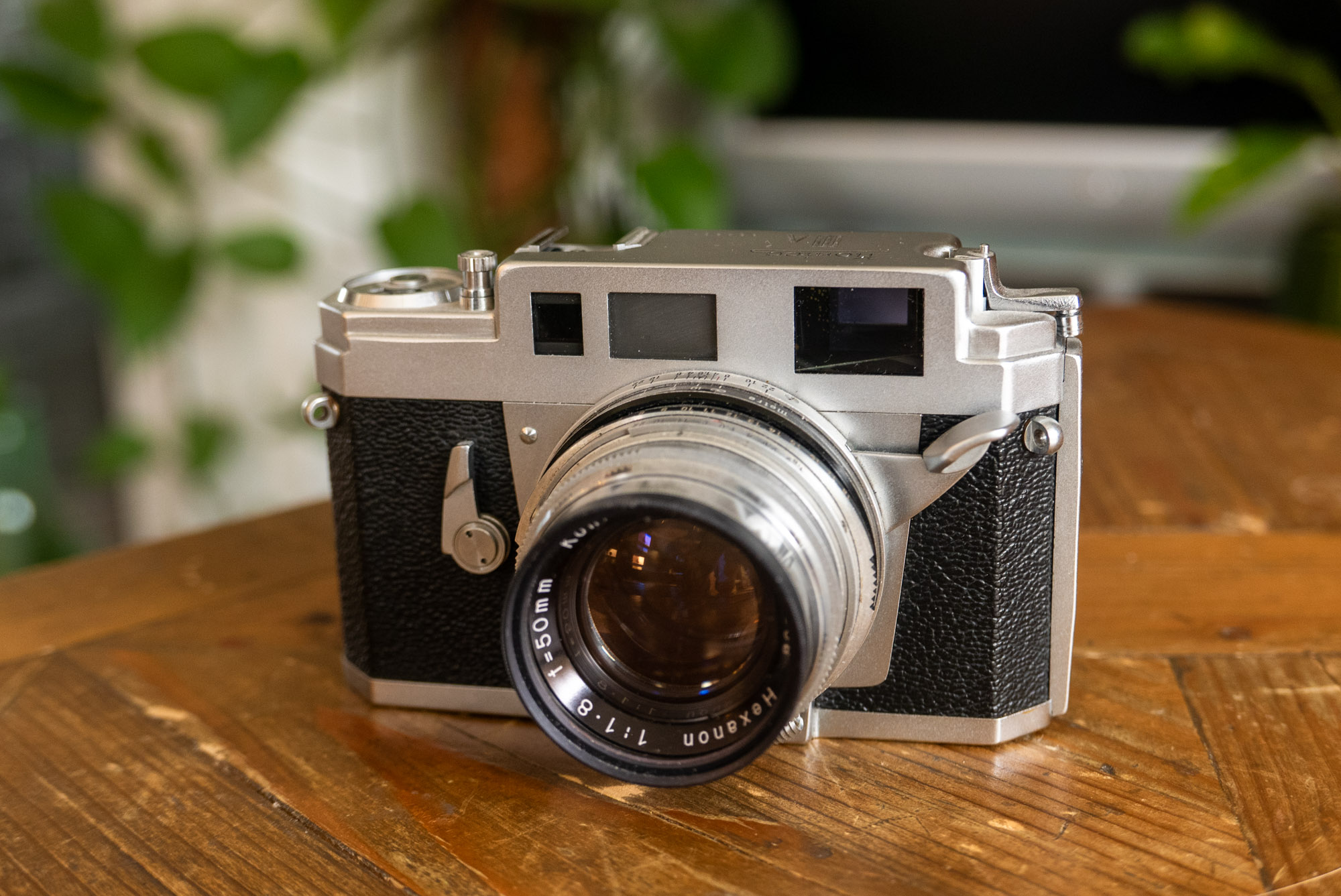 5 frames with a borrowed Konica IIIa - 35mmc